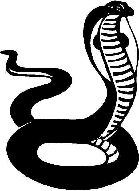 Mythical Cobra Vinyl Decal Car Truck Window Sticker  