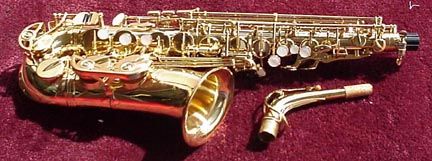 New saxophone alto sax w/Selmer USA mouthpiece & Selmer saxophone care 